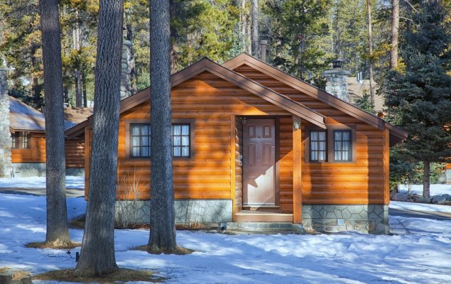 Из чего строить дом: брус или бревно